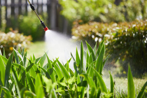 24/7 Emergency Fumigation Services experts in Estill Springs, TN