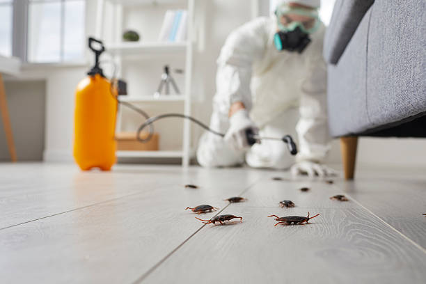 Trusted Fumigation Services service in Estill Springs, TN - Nex Pest Control